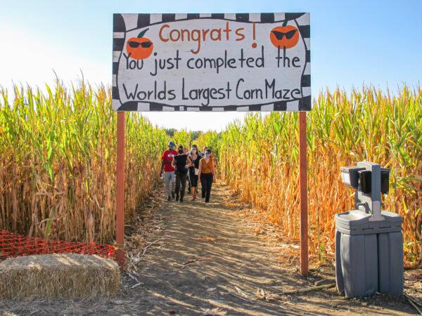 A sign at Cool Patch Pumpkins in Dixon, Calif., on Oct. 24, 2020. (Ilene Eng/The Epoch Times)