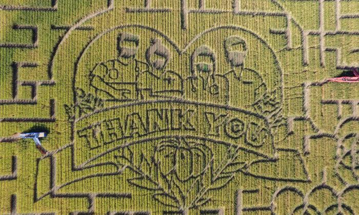 California’s Largest Corn Maze Dedicates Theme to Healthcare Workers and First Responders