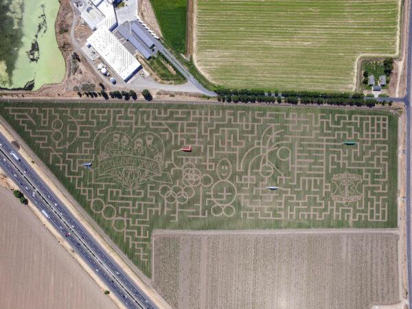 An aerial view of the corn maze at Cool Patch Pumpkins. (Courtesy of Seth Cooley)