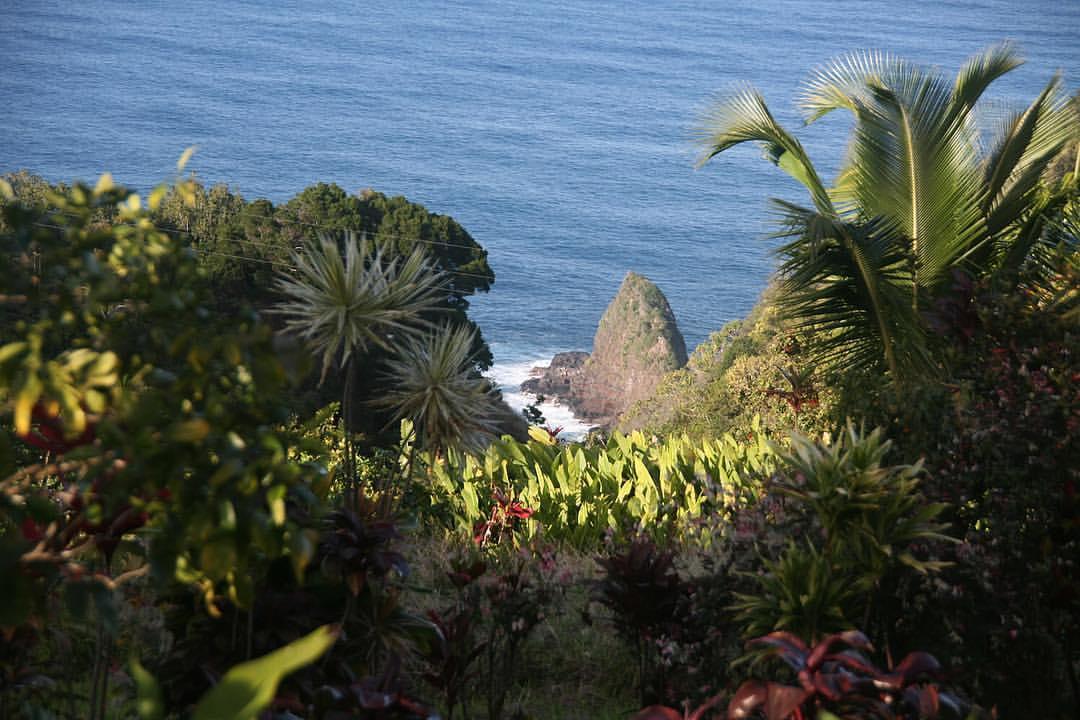 Keopuka Rock was featured in the opening scene of the original “Jurassic Park” film. This view is from the Garden of Eden Arboretum’s upper parking lot. (Courtesy of Garden of Eden)