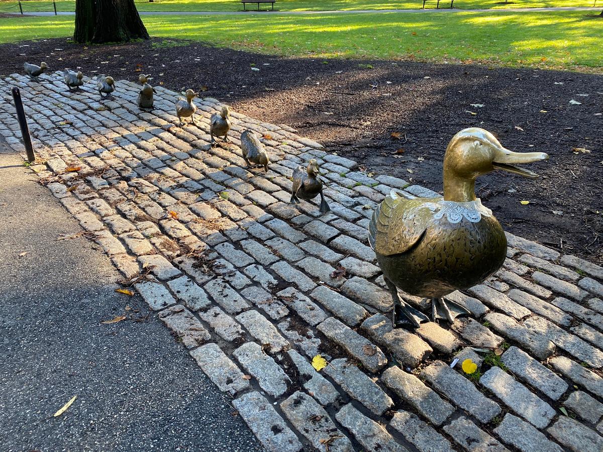The "Make Way for Duckling" statues in Boston's Public Garden. (Skye Sherman)
