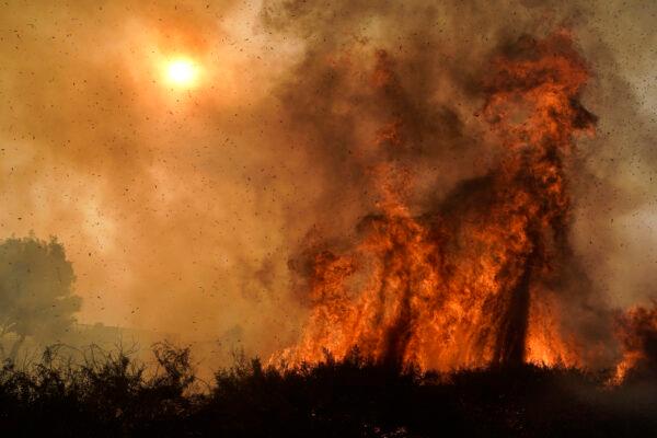 The Silverado Fire burns along the 241 State Highway on Oct. 26, 2020, in Irvine, Calif. (Jae C. Hong/AP Photo)