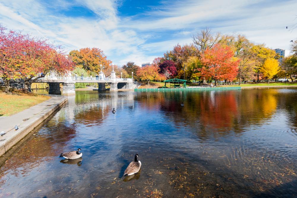 Boston Common. (George KUZ/Shutterstock)