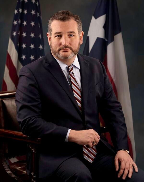 The official 2019 photo of Sen. Ted Cruz. (Public Domain)