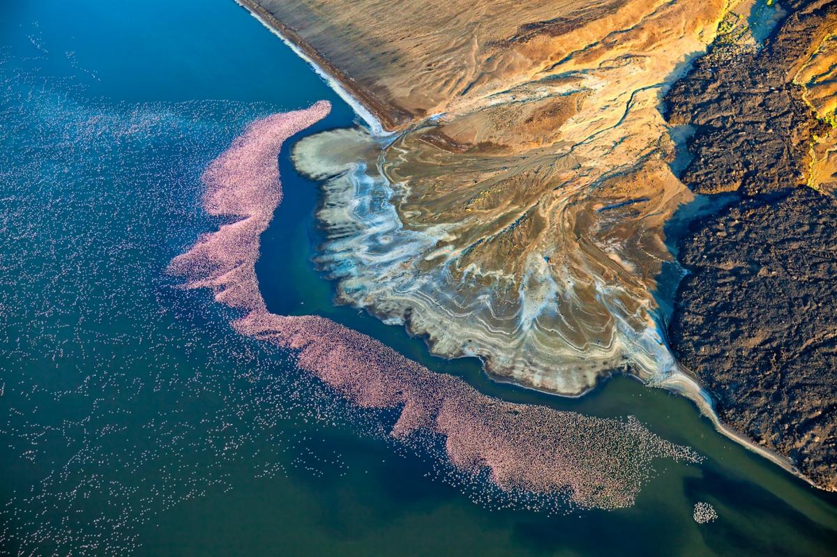 "Flamingos at Lake Logipi." (Courtesy of Martin Harvey/<a href="https://www.facebook.com/sipacontest/">Siena Drone Photo Awards 2020</a>)