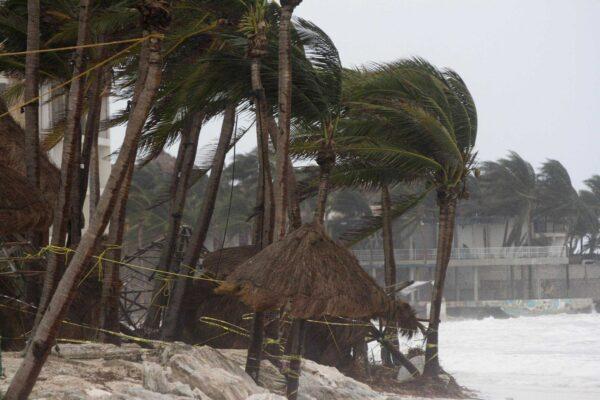 Palm trees are buffeted by the winds of Hurricane Zeta in Playa del Carmen, Mexico, early on Oct. 27, 2020. (Tomas Stargardter/AP Photo)