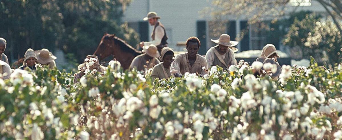 Field-hand slaves picking cotton in "12 Years a Slave." (Twentieth Century Fox)