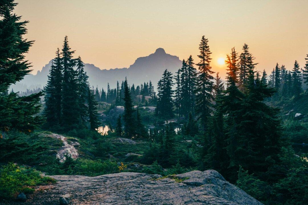 Nature’s Unfair, Progressives Hate It