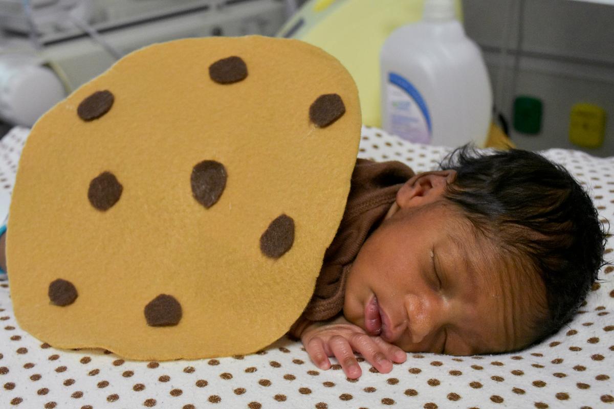 Baby from the Tallahassee Memorial HealthCare NICU dressed as a cookie. (Courtesy of <a href="https://www.facebook.com/TallahasseeMemorial">Tallahassee Memorial HealthCare</a>)