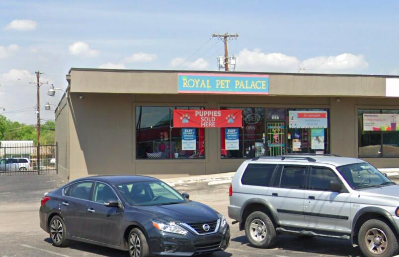 Royal Pet Palace, San Antonio, Texas. (Screenshot/<a href="https://www.google.com/maps/@29.3841091,-98.4578695,3a,24.4y,13.48h,92.01t/data=!3m6!1e1!3m4!1sGhDLcM34L9KIv9EjfLrQWg!2e0!7i16384!8i8192">Google Maps</a>)