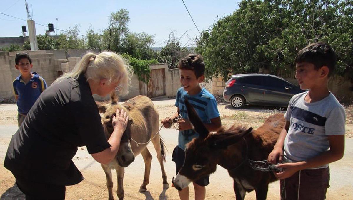 Lucy Fensom petting a donkey. (Caters News)