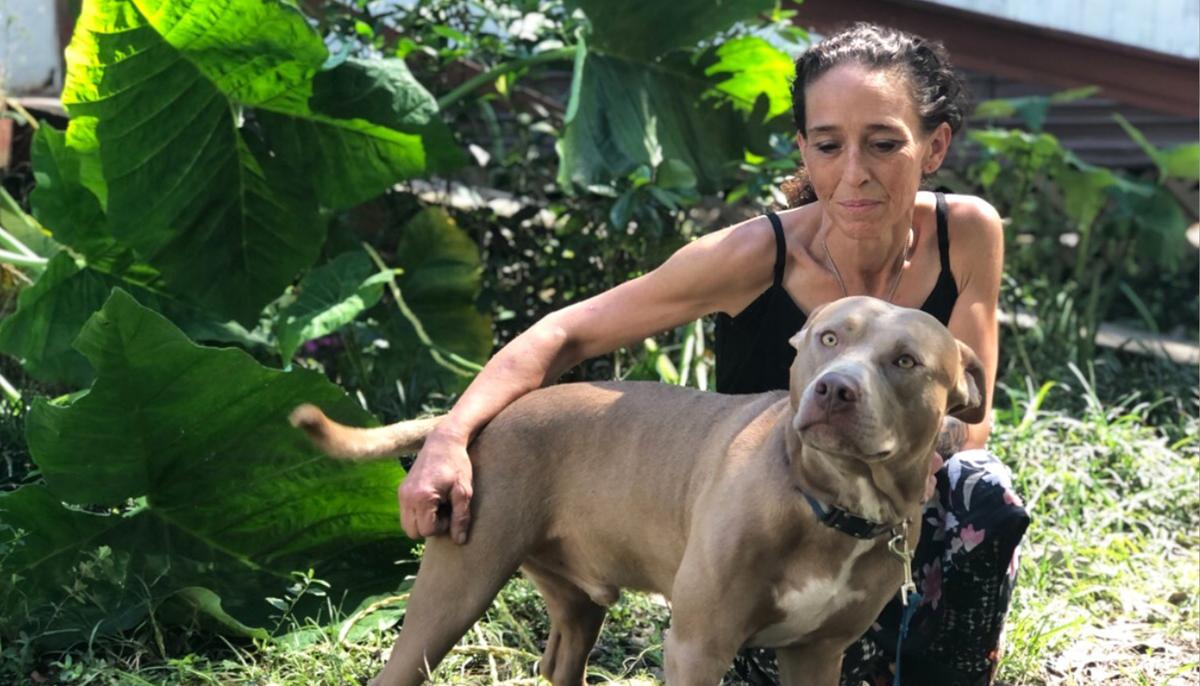 Animal Shelter in Florida Lauded for Helping Owner Reunite With Her Deaf Dog for Free