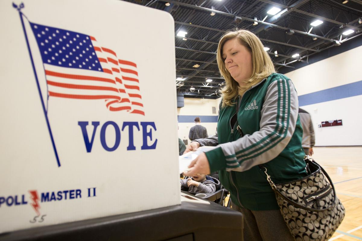Former Michigan Secretary of State Calls for Audit on Election Results in Voter Fraud Lawsuit