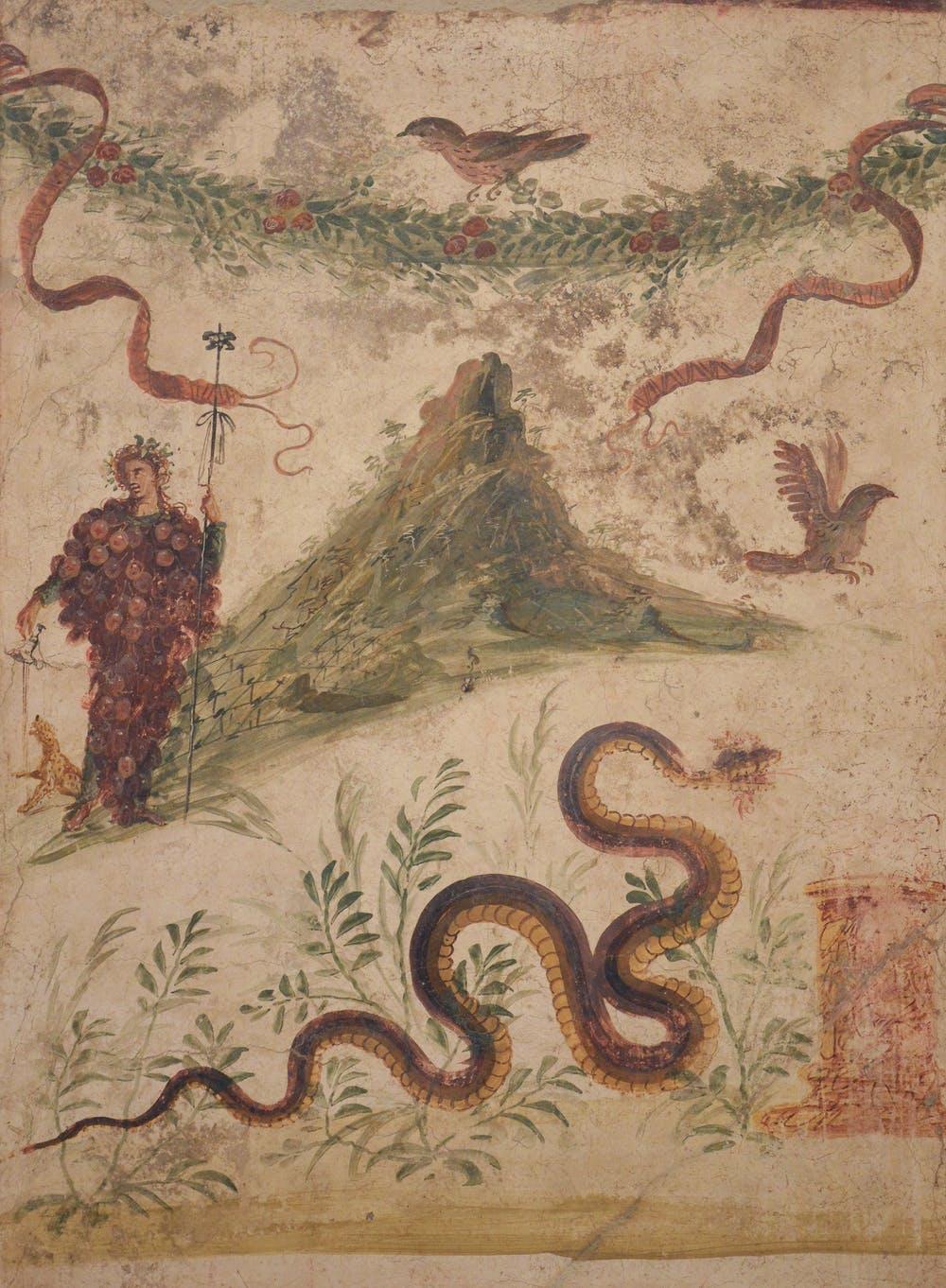 A fresco found in Pompeii, painted circa 55–79 CE, depicting Bacchus covered in grapes and Vesuvius with trellised vines in background. (Naples Archaeological Museum)