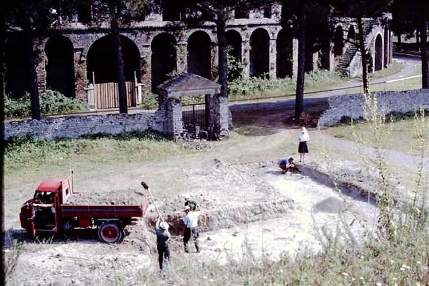 Excavations in 1966 revealed the area in front of the amphitheater was once a vineyard. (The Wilhelmina and Stanley A. Jashemski archive in the University of Maryland Library, Special Collections/CC BY-NC-SA)