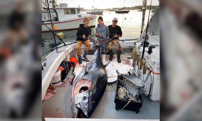 Teen Fishermen Reel In 'Absolute Beast' 10-Foot Bluefin Tuna Weighing Over 1,000 Pounds
