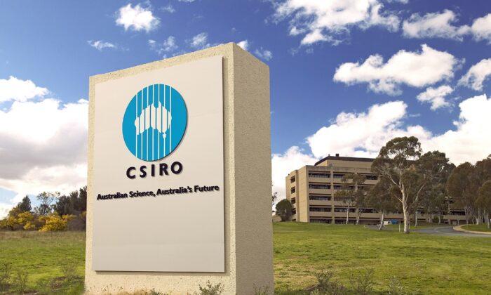 CSIRO Targets Invasive Weeds With Natural Enemies