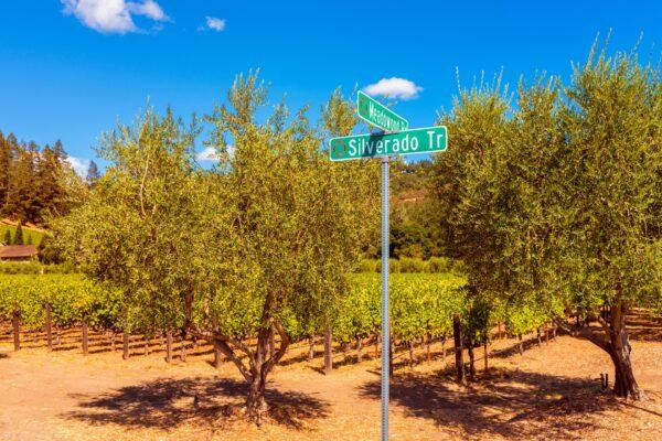 The drive south through the Napa Valley along the Silverado Trail is one of the most beautiful and iconic in American wine. (Allard One/Shutterstock)