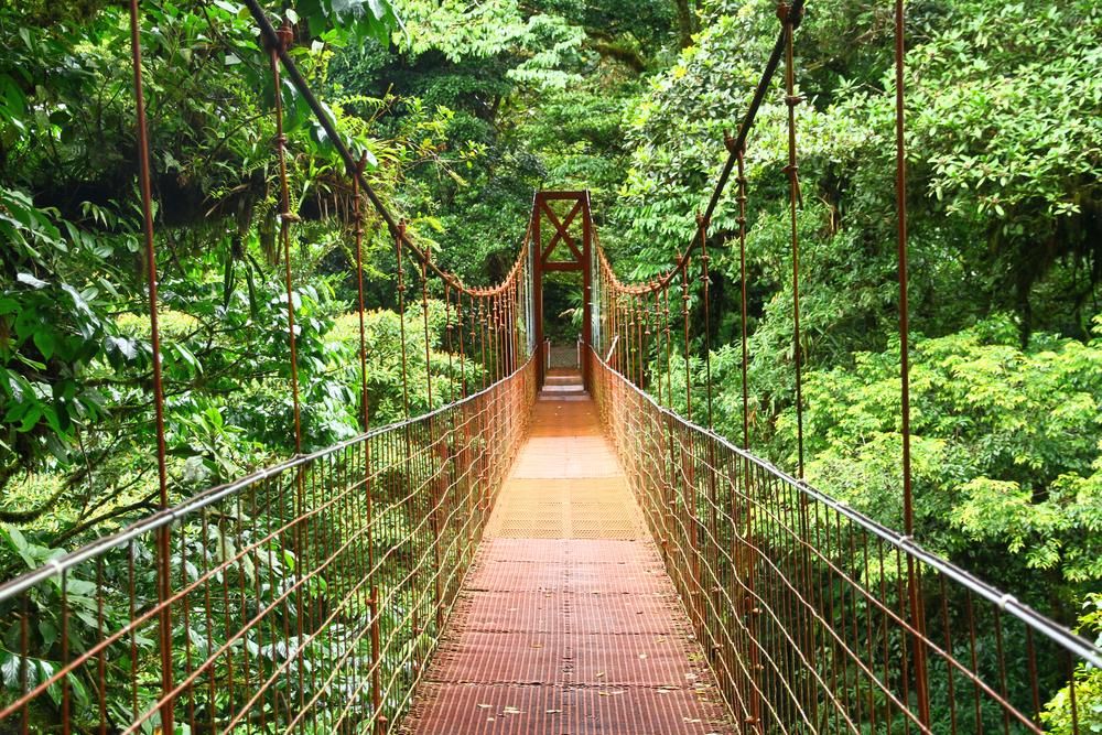 A suspension bridge in Santa Elena Cloud Forest Reserve in Monteverde. (Yasemin Olgunoz Berber/Shutterstock)