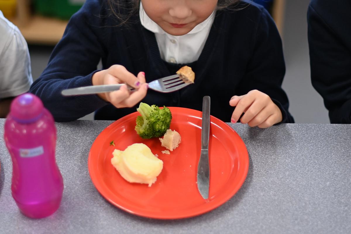 Some British Children Forgot How to Use Knife and Fork During Lockdown: Report