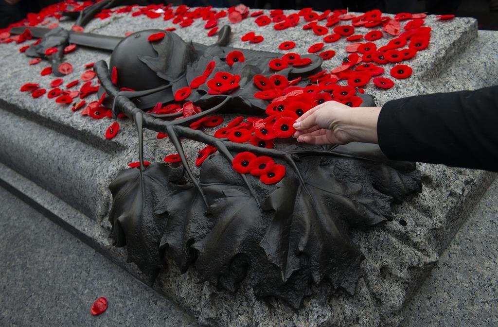 Scaled Down Ceremonies Mark Remembrance Day Across Canada