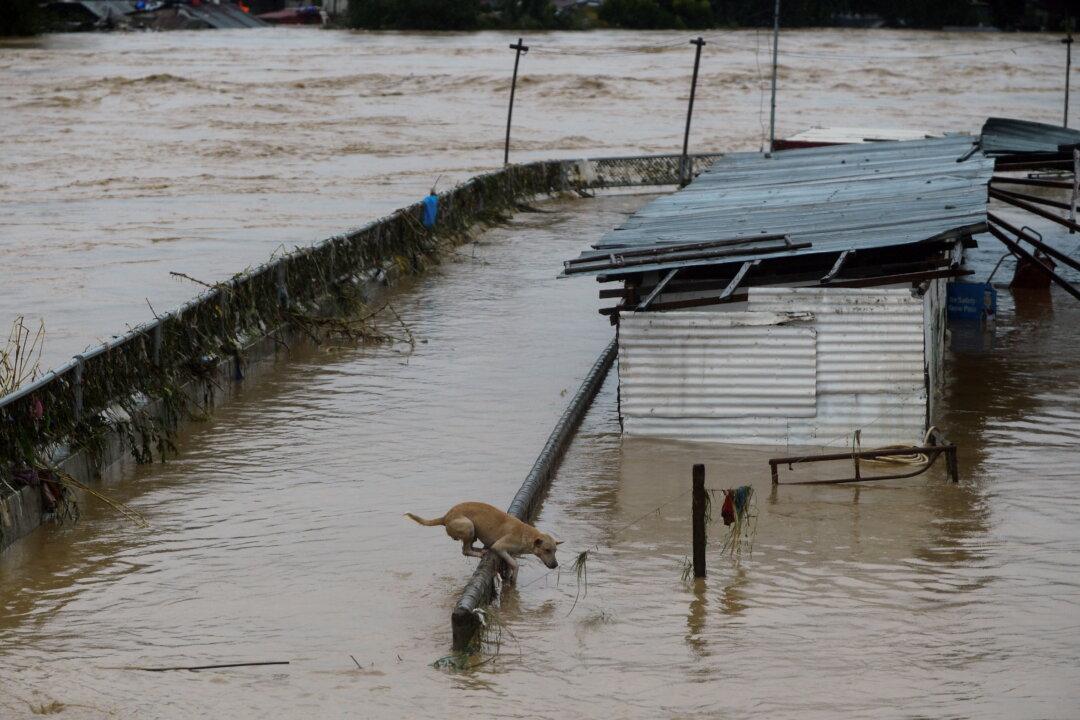 Seven Dead as Typhoon Vamco Triggers Philippine Capital’s Worst Floods in Years