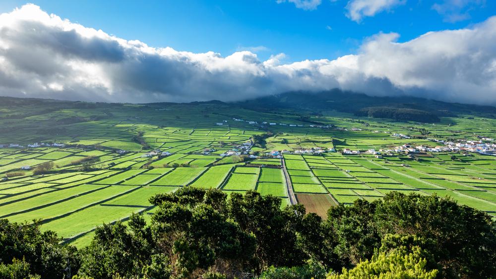 Bright green fields in Terceira. (FCG/Shutterstock)