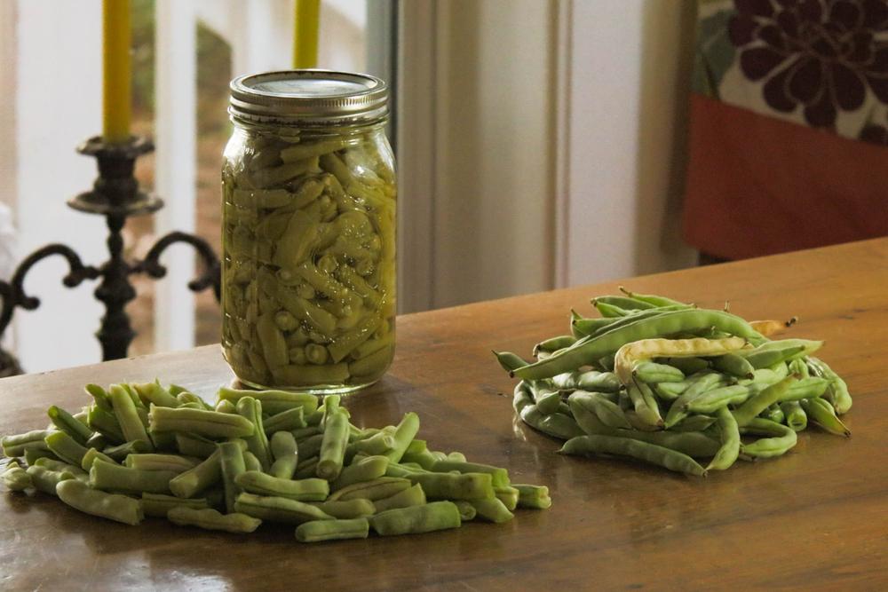 Home-canned green beans. (JHawk455/Shutterstock)