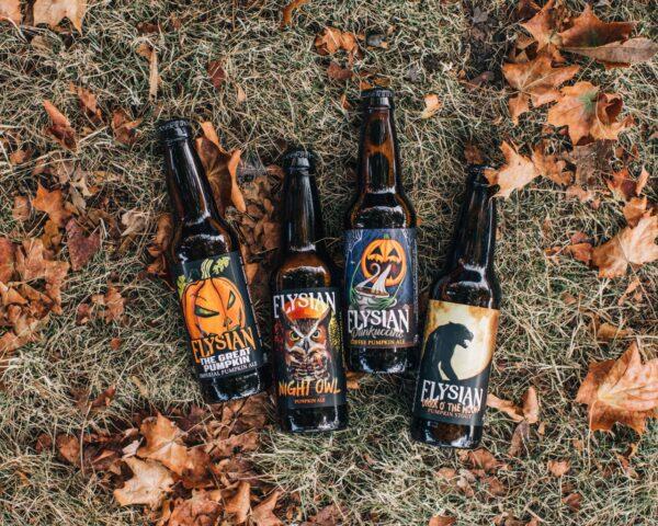 Elysian Brewing's pumpkin ale lineup. (Courtesy of Elysian Brewing)