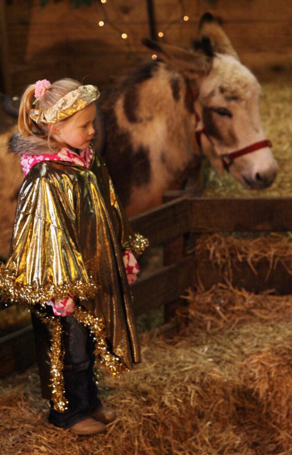 In this file photo, school children from local schools perform in the traditional nativity play hosted in a barn at Pennywell Farm Activity Centre near Buckfastleigh in Devon, England, on Dec. 11, 2008. (Matt Cardy/Getty Images)