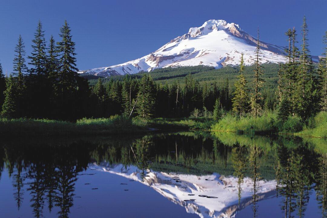 Two Oregon Counties Vote to Consider Seceding, Joining Idaho