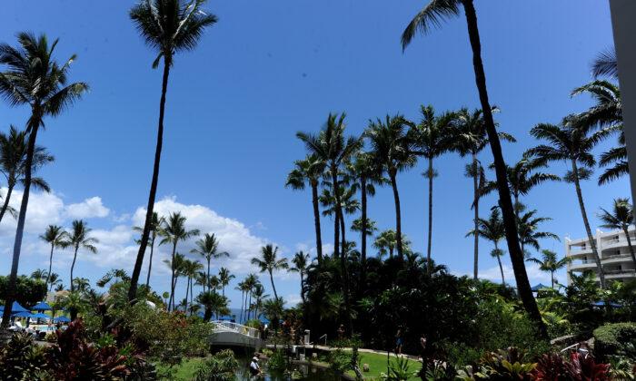 At Least 7 California Lawmakers Flew to Hawaii for Conference During Pandemic