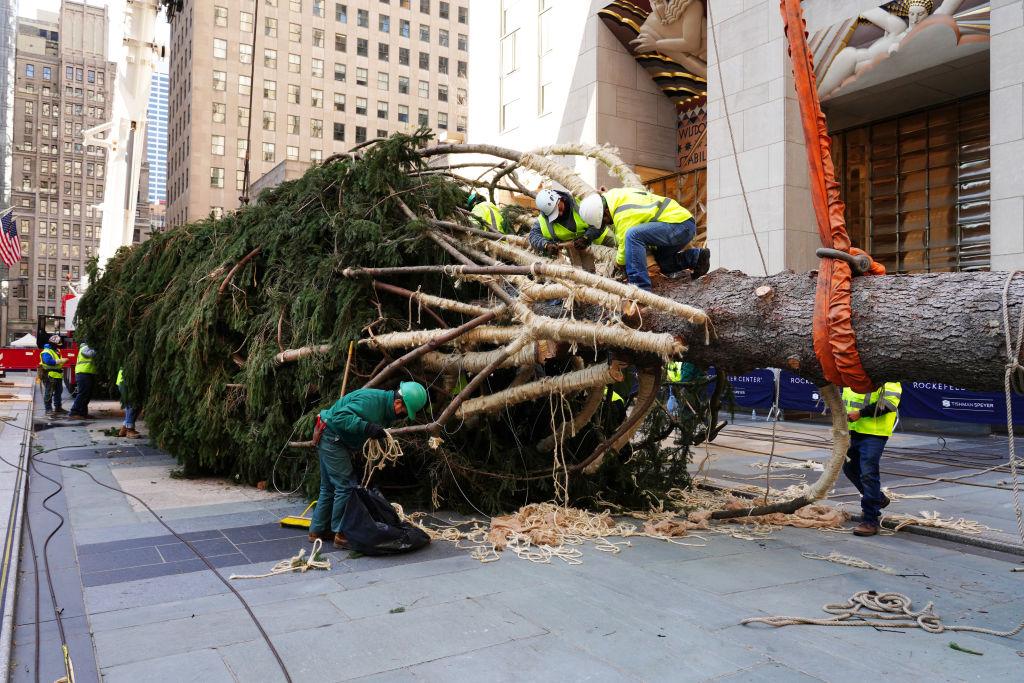 Workers prepare the tree to be craned into place as the Rockefeller Center Christmas tree arrives at Rockefeller Plaza on Nov. 14 in New York City. (Cindy Ord/Getty Images)