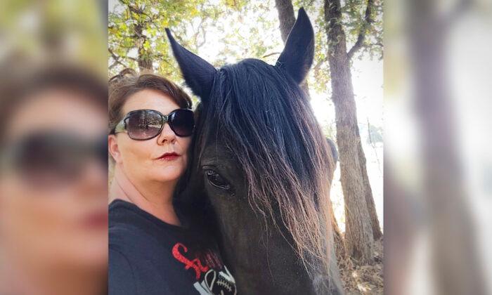 ‘Defeated’ Horse Going to Slaughter Meets Her Savior Just in Time, Gets 2nd Chance at Life