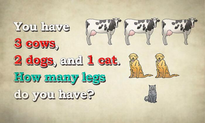 Can You Solve This Tricky Leg Riddle? You Have 3 Cows, 2 Dogs, and 1 Cat. How Many Legs Do You Have?