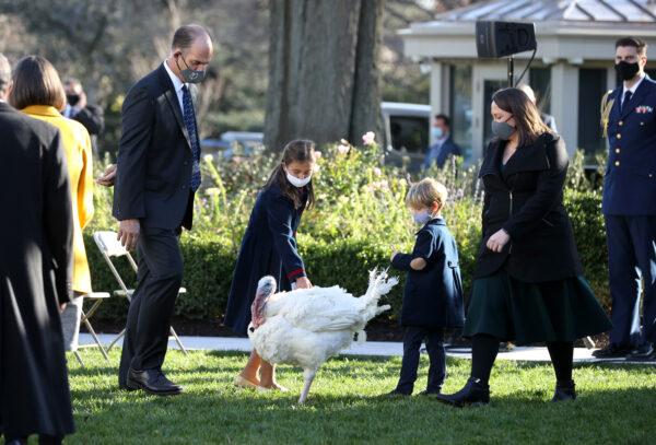 Ivanka Trump's children play with a turkey named Corn as they await a presidential turkey pardoning ceremony, at the White House in Washington on Nov. 24, 2020. (Chip Somodevilla/Getty Images)
