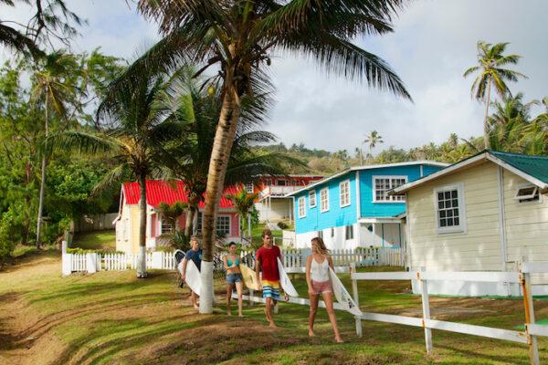 Surfers in Bathsheba. (Courtesy of Barbados Tourism)
