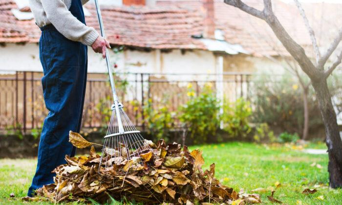 Rakes, Blowers, or Mowers? Pros and Cons