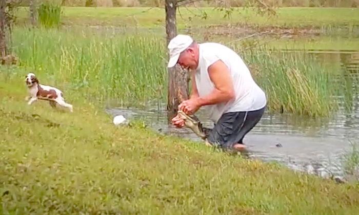 Florida Man Wrestles Alligator in Pond, Pries Open Its Jaws to Save His Small Dog