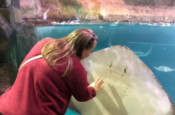 A visitor to the Ripley's Aquarium of the Smokies in Gatlinburg, Tenn., interacts with a stingray. (Courtesy of Bill Neely)