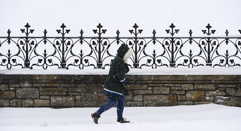 Wild Winter, Drastic Swings in Store for Canada This Year: Weather Network