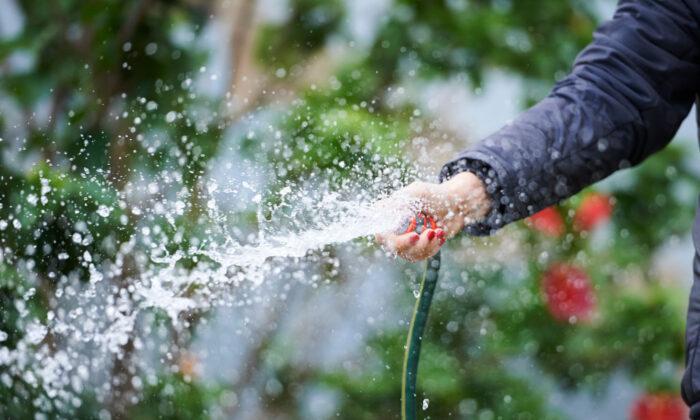 Water Restrictions Lifted for Sydney, People Can Hose Their Gardens, Cars