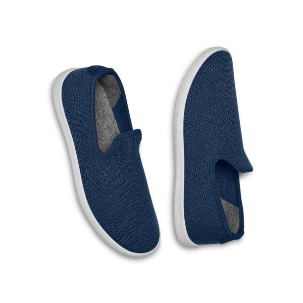 Marine Tree Loungers. (Courtesy of Allbirds)