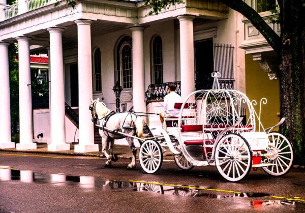Littles ones are bound to enjoy a carriage ride. (Laktionova/Shutterstock)