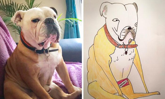 Man Posts Joke Pet Portraits Online Only to Be Flooded With Commissions, Raises 5,000 Pounds for Charity
