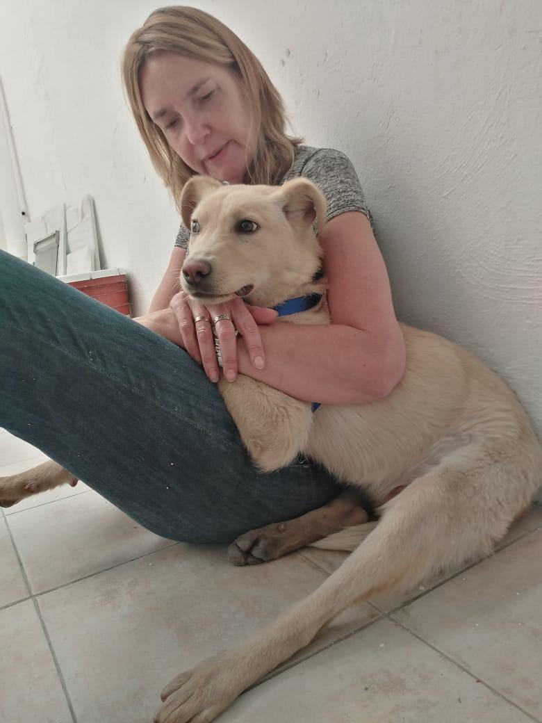 Marcela Goldberg with Max. The dog was renamed Boston after his rescue. (Courtesy of <a href="https://twitter.com/MascotaCoyoacan">Mascotas Coyoacán</a>)