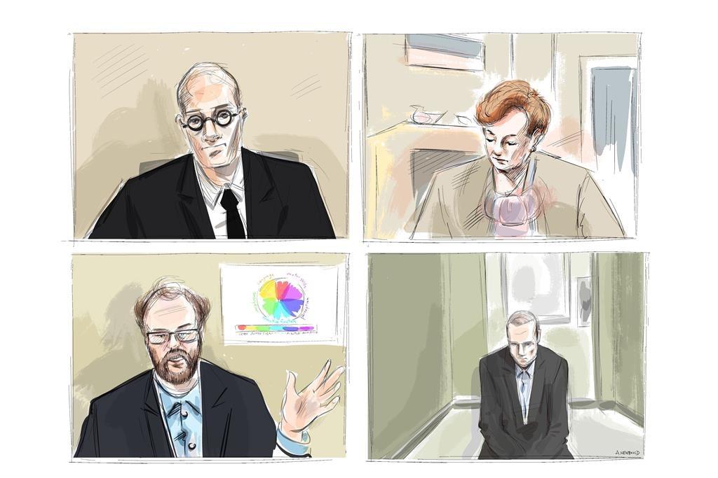 Psychiatrist Stops Short of Saying Van Attack Killer Is Not Criminally Responsible