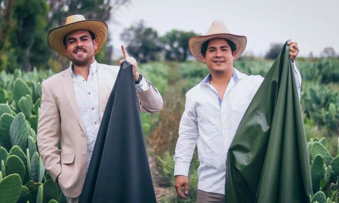 2 Mexican Friends Create Luxury ‘Cruelty-Free Leather’ From Dried Cactus Leaves