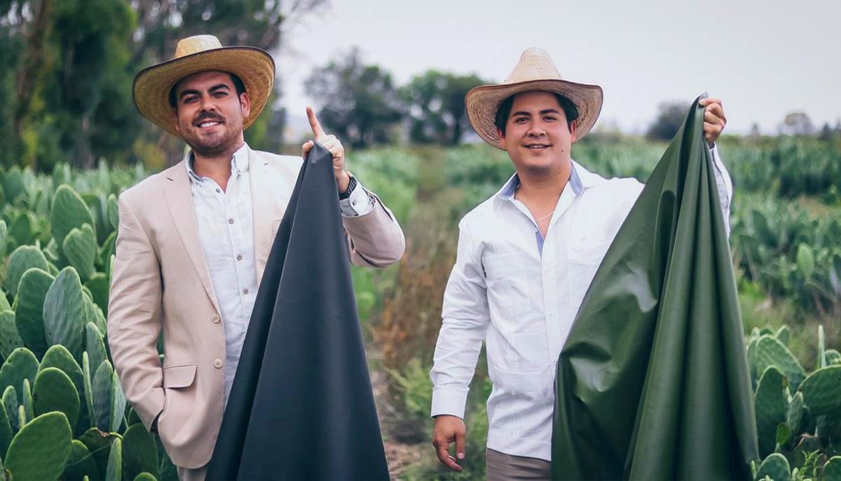 2 Mexican Friends Create Luxury 'Cruelty-Free Leather' From Dried Cactus Leaves