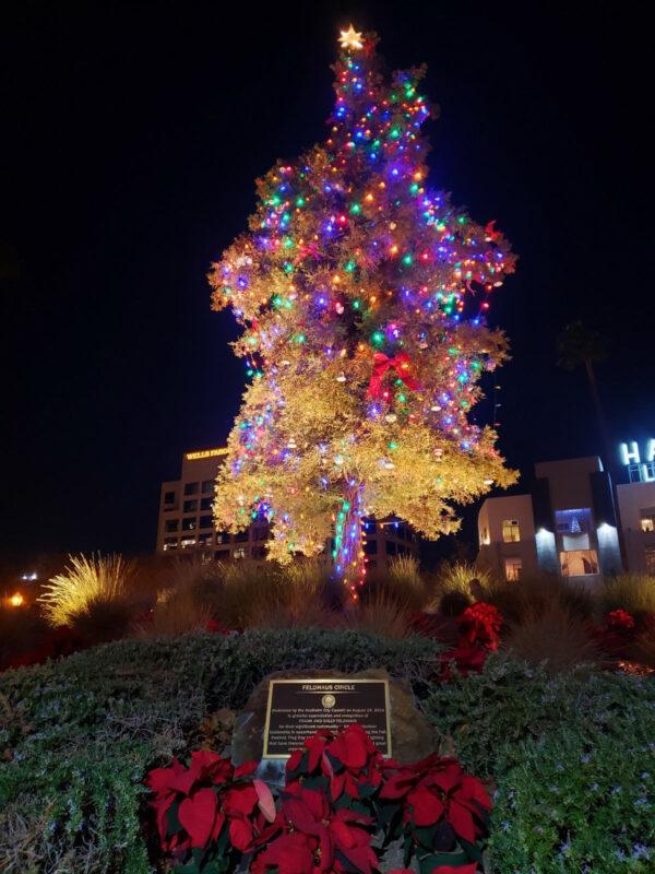 A file photo of the lit Christmas tree in Anaheim, Calif. (Courtesy of the City of Anaheim)